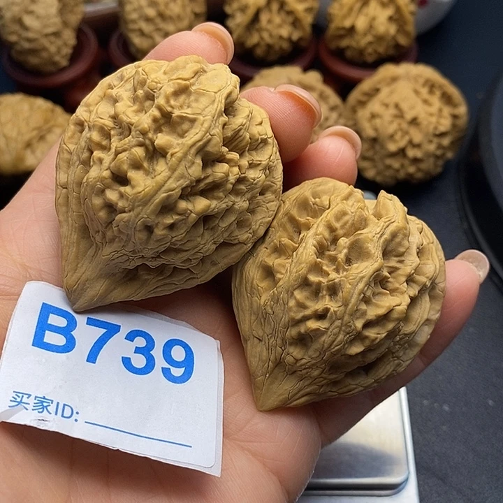 把件文玩核桃大沽石4.3