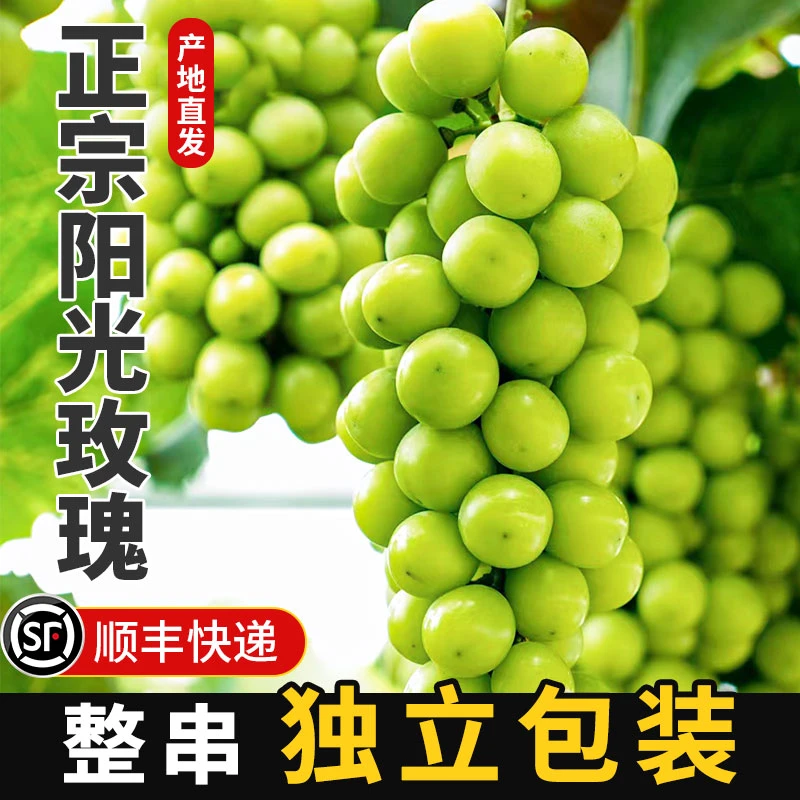 【顺丰】正宗阳光玫瑰新鲜葡萄整串新鲜发货应季水果鲜甜多汁T