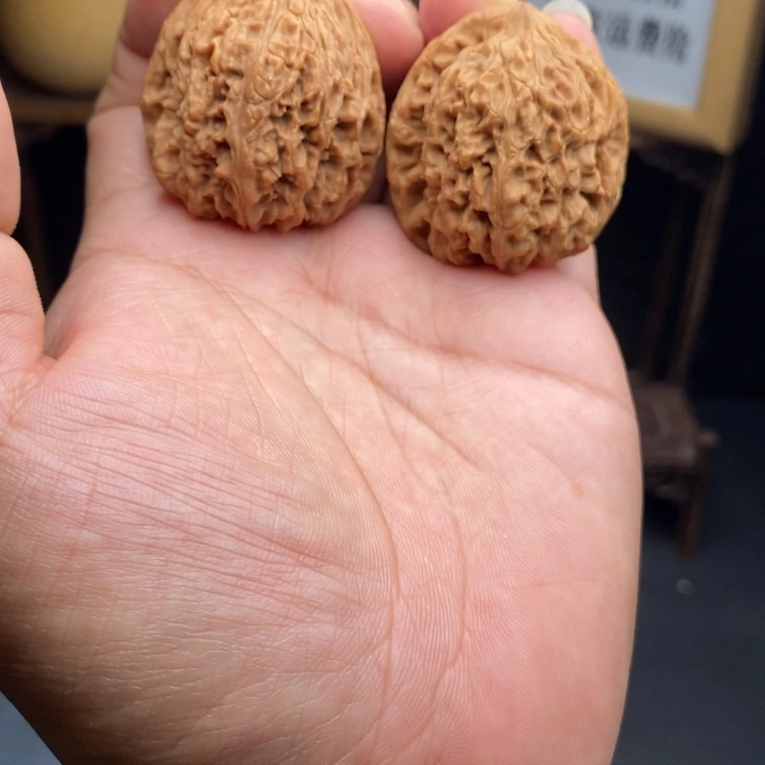 涿鹿南疆石马虎对儿