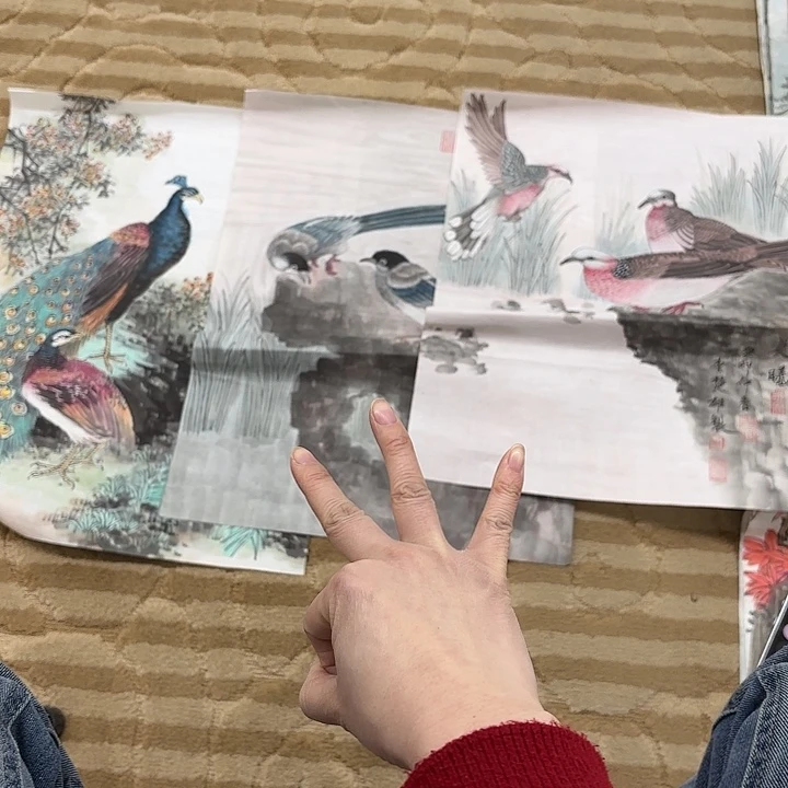 国画用****9花鸟等多种鸟类的栖息