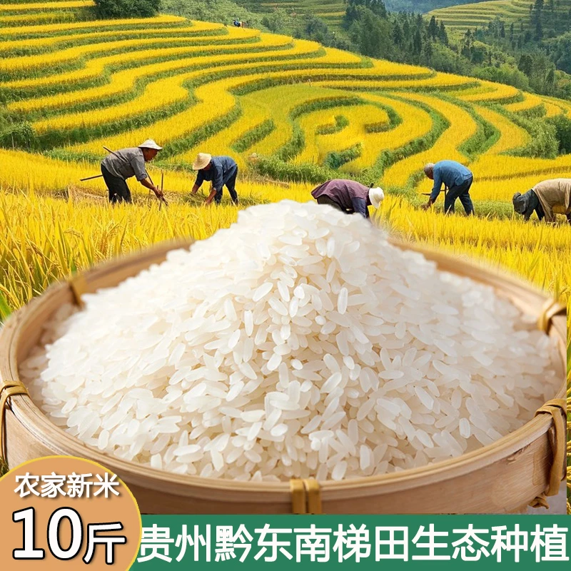 大米新米贵州梯田长粒香大米农家生态种植优质软糯香现磨软糯香