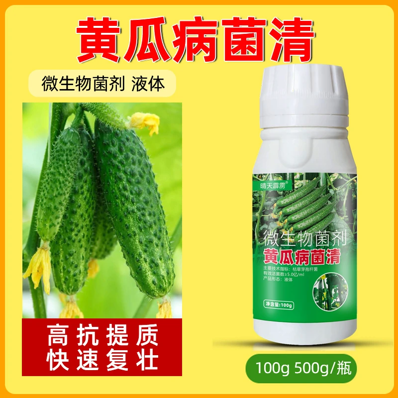 黄瓜病害药病菌清黄瓜霜霉病靶斑病黄叶黄点有机水溶叶面肥