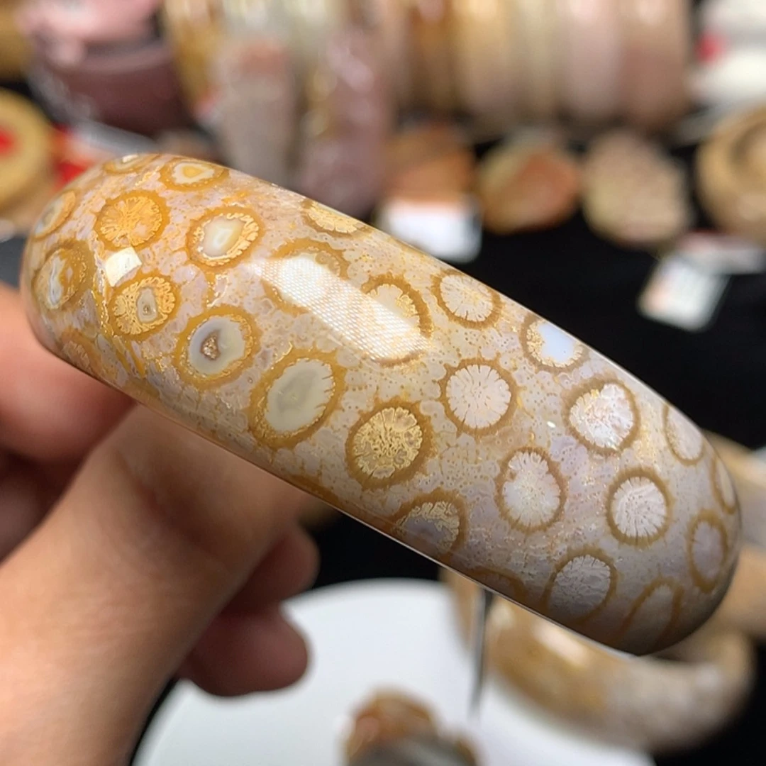 【闪购商品】硅化珊瑚（珊瑚玉）手镯未镶嵌上新共生豹纹 56圈