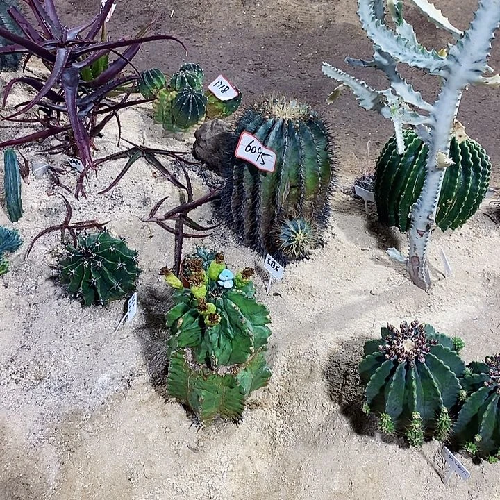 猛*000000000000000000000