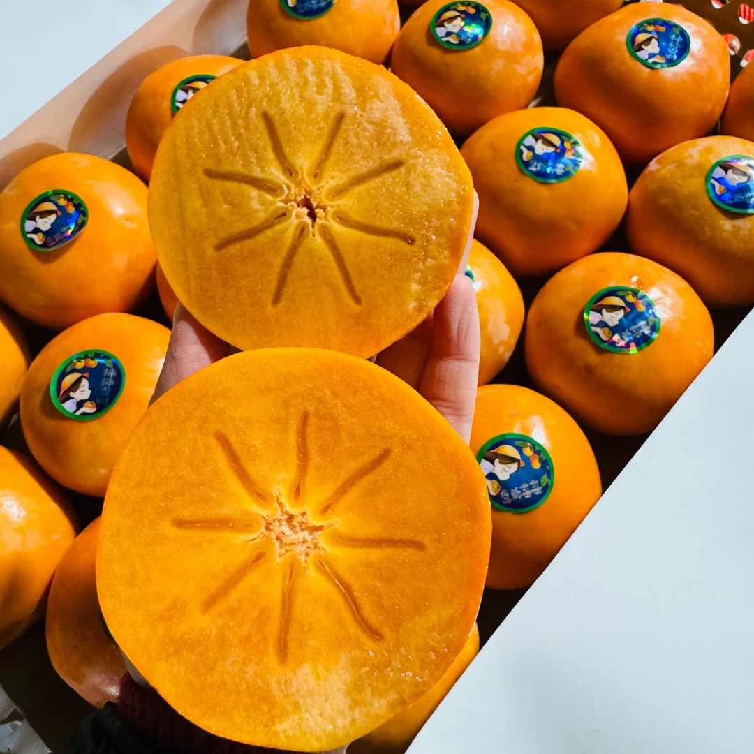 【巧克力脆柿子】【东北三省发货】又甜又脆不涩口