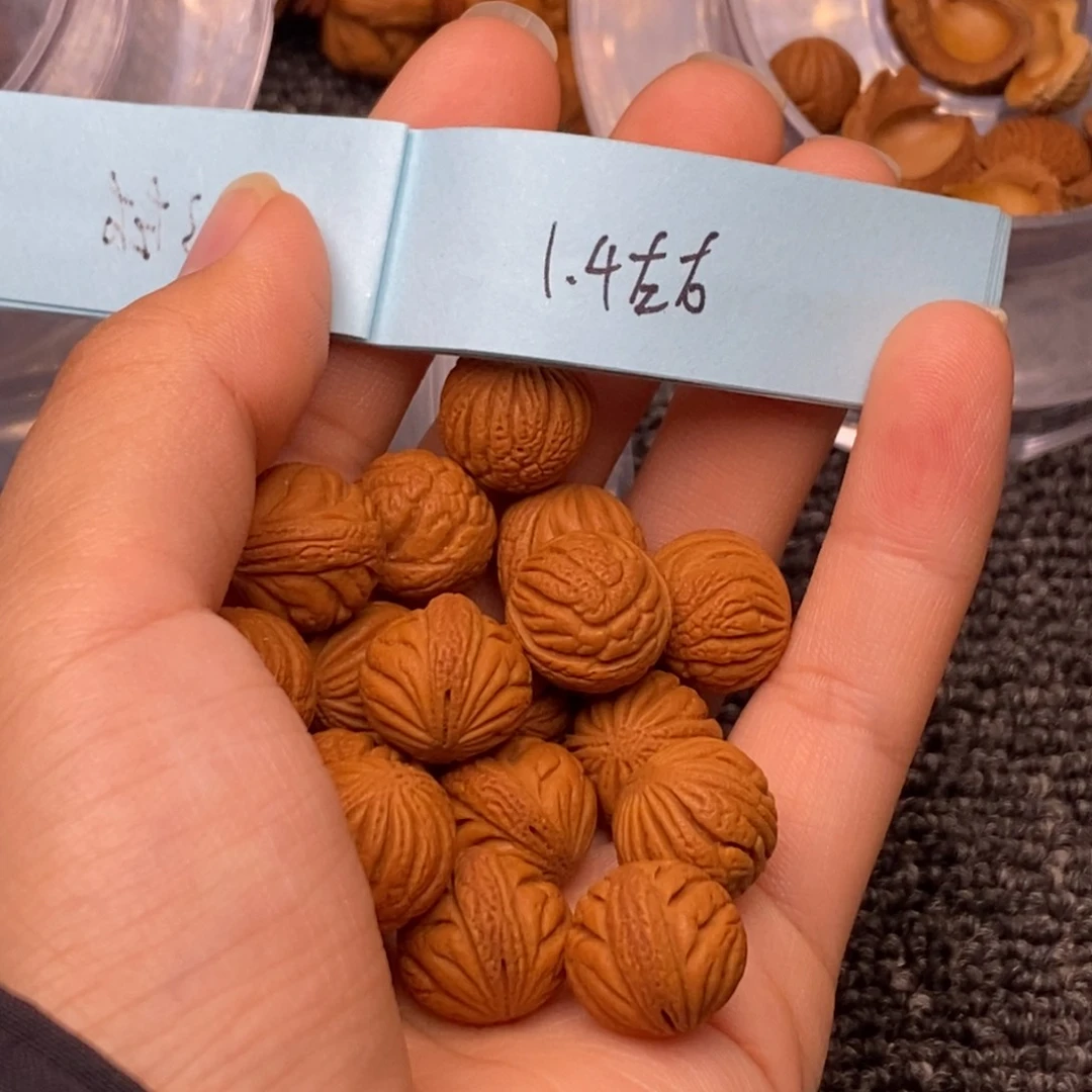 秦岭山脉龙纹桃核