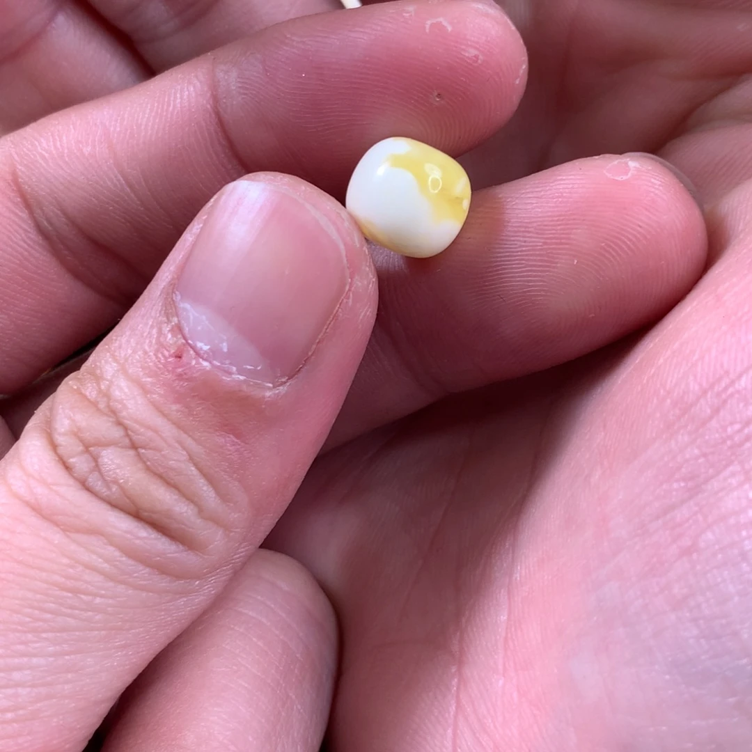 琥珀裸石未镶嵌?****࿓老型