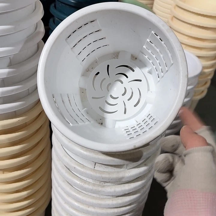 测19口径10个带托白色瑕疵