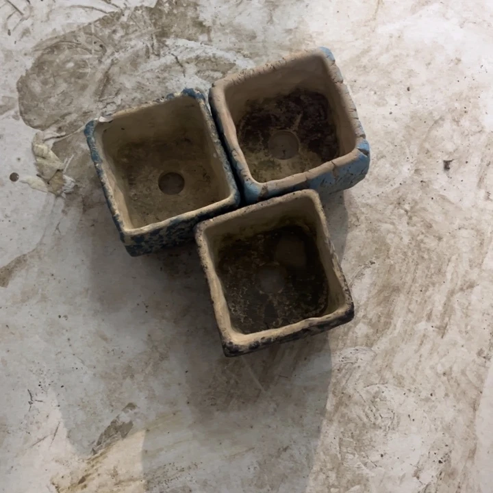 红陶白*兰我的心好痛啊我的心真的好