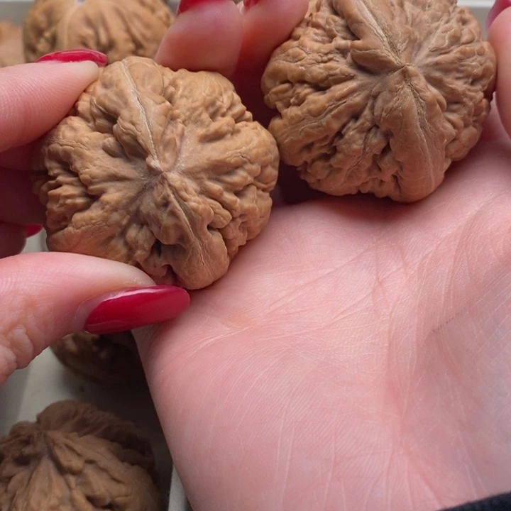 用***用文玩核桃把件霸王龙