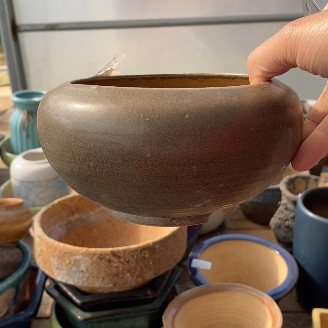 74号多肉盆口径12