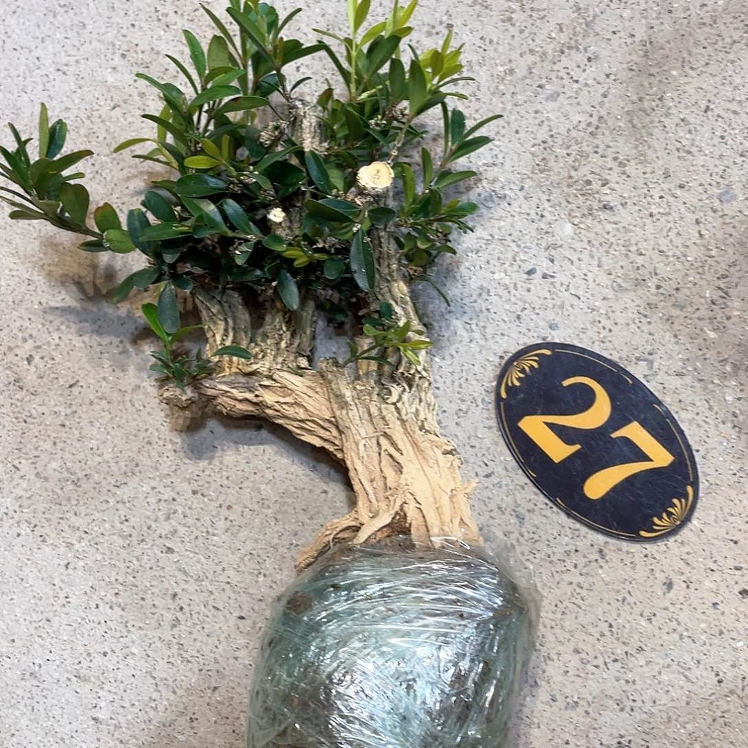 红陶韦*一起为梦想奋斗加油啊