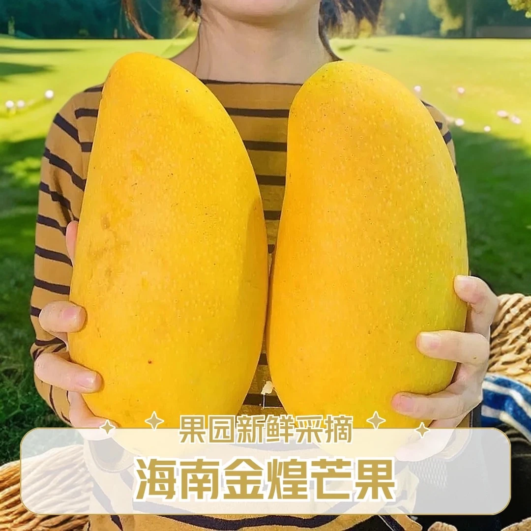 【果园直发】海南金煌芒果整箱礼盒装新鲜采摘当季一级果香甜又多汁
