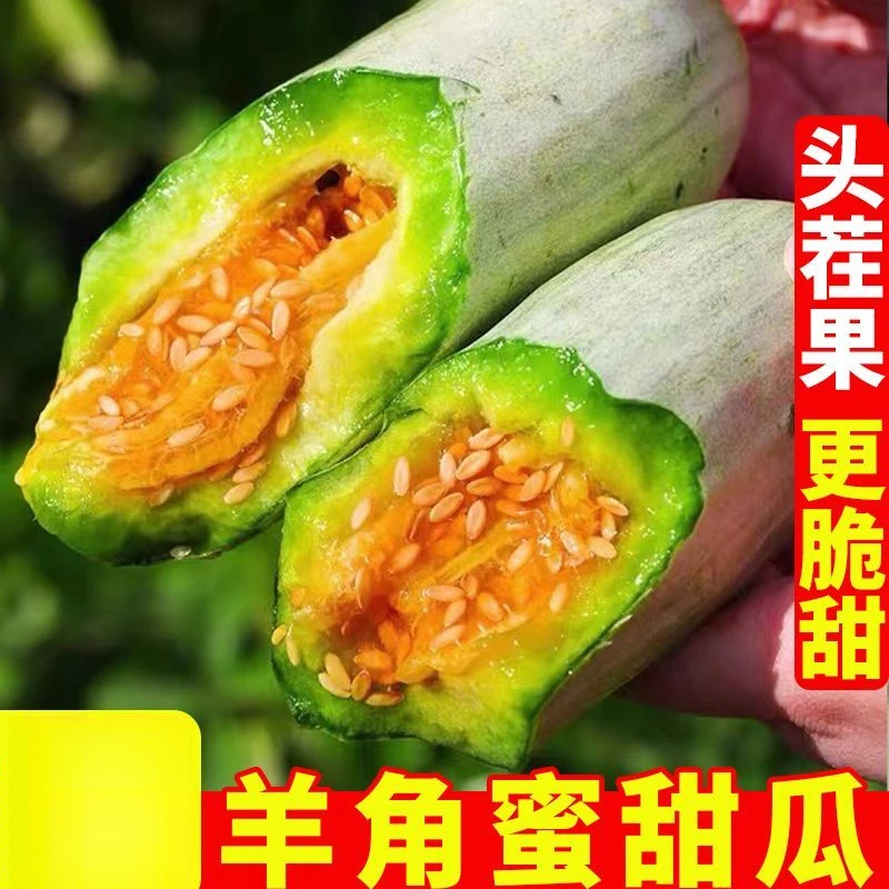 正宗头茬羊角蜜甜瓜香瓜新鲜蜜瓜应季水果包邮