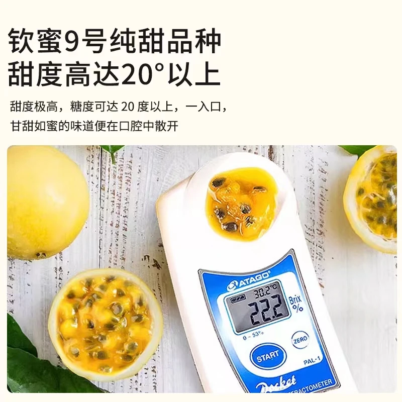 福建高山钦蜜9号黄金百香果现摘直发精选果