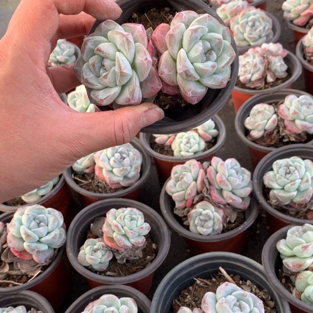 哈哈哈哈哈哈哈哈