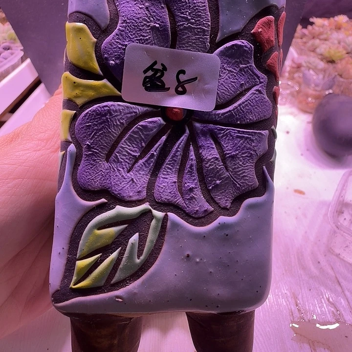 盆8，蓝色高方盆多肉花盆闲置处理不介意的拍！