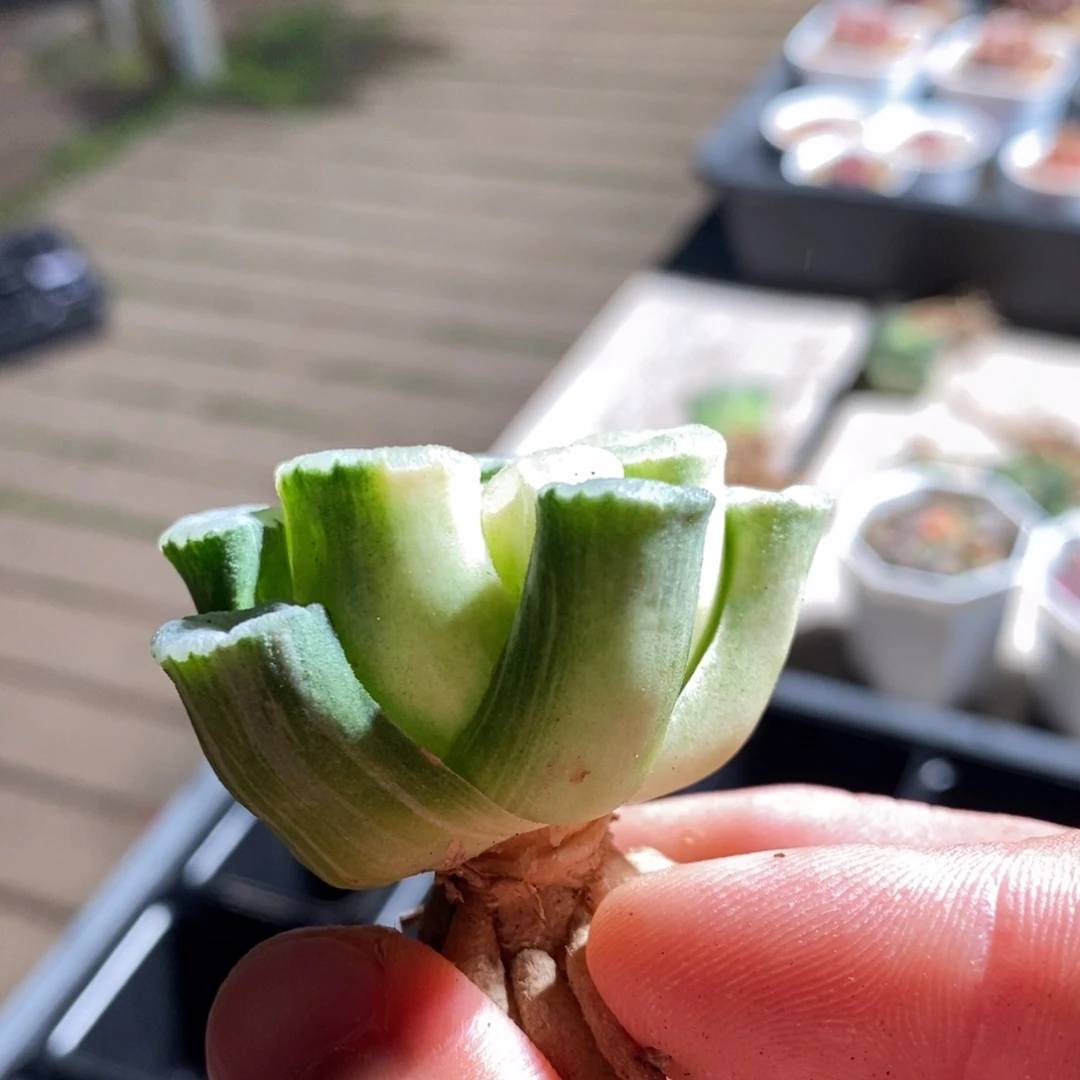 南****不14130一个一个一个