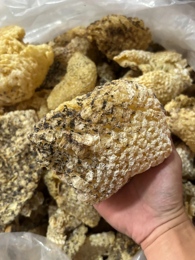 酒席年例同款盐爆刺龟皮无刺天然海味干货煲汤滋补