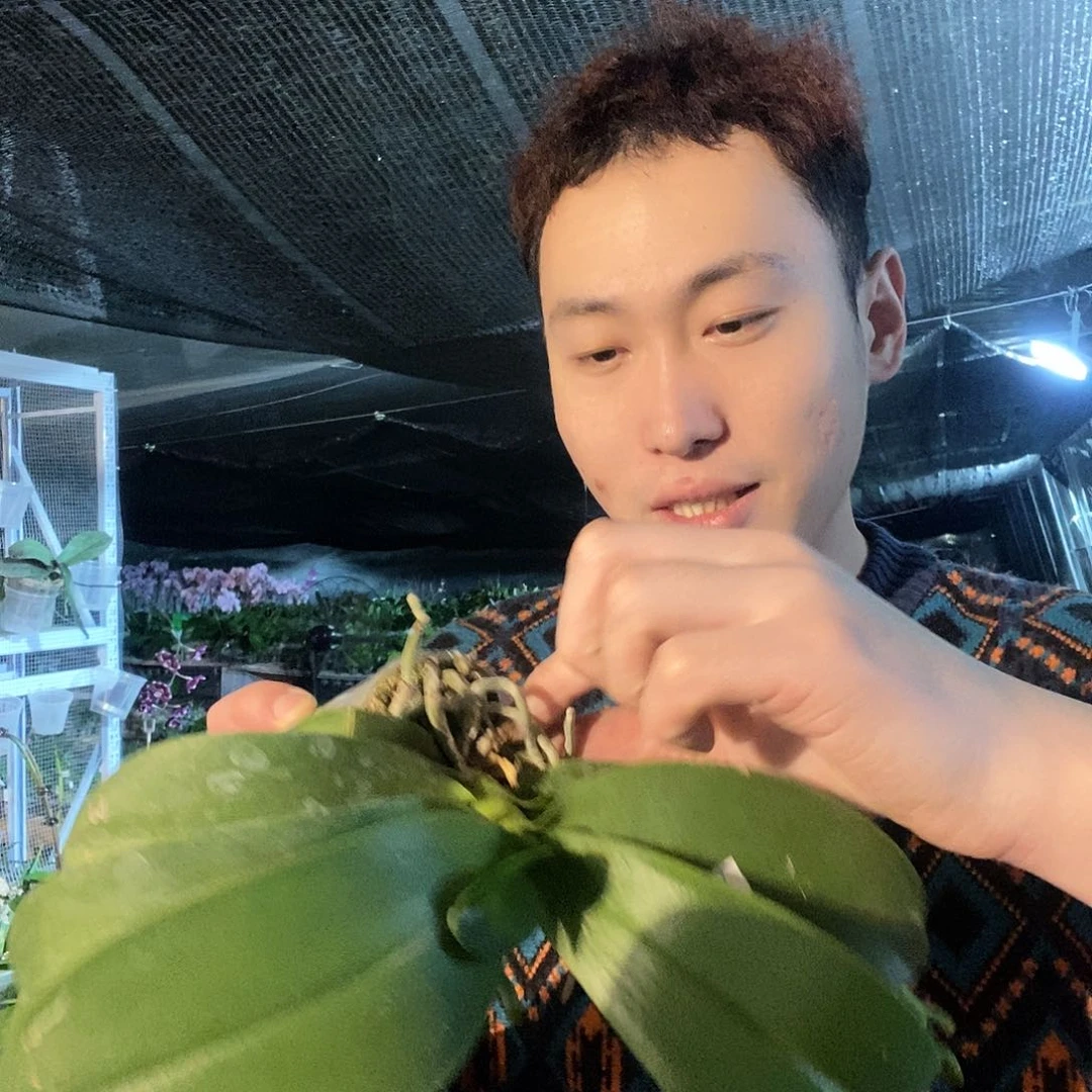 无花朵紫与铃铛387