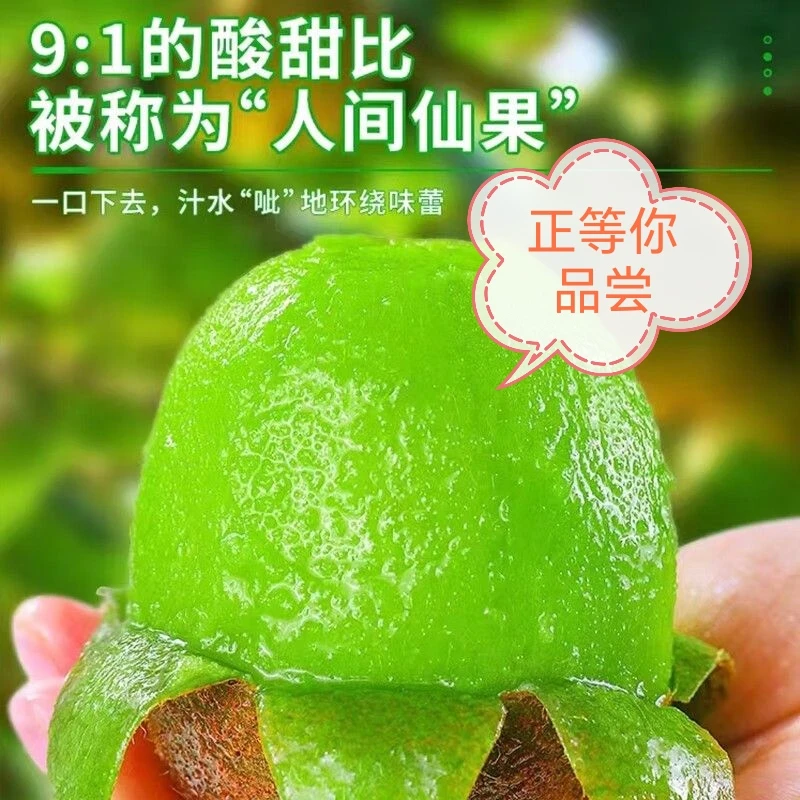 5绿心猕猴桃新鲜采摘孕妇爱吃食用奇异果包邮