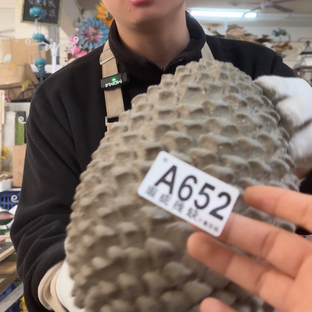 核桃木/黑胡桃（胡桃木）