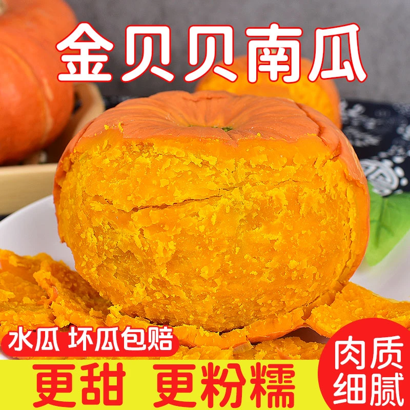 【冲量福利】金贝贝南瓜粉糯香甜板栗味小南瓜宝宝辅食优质粗粮代餐