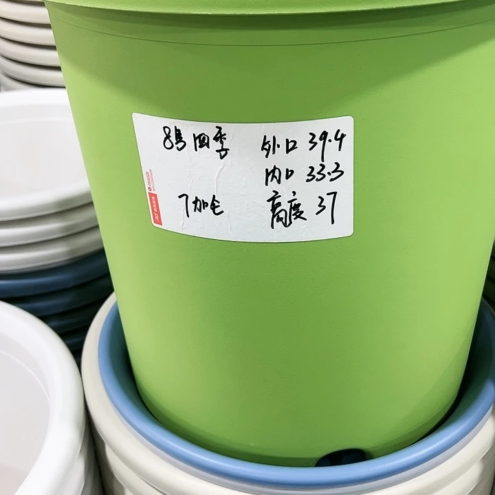 特价8号四季口39高37白色3个无托