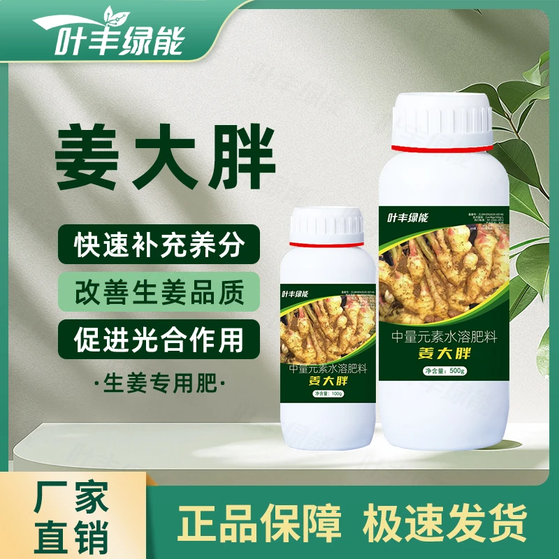 叶丰绿能姜大胖工厂直发膨大防根腐补充营养提质高产果园专用肥料