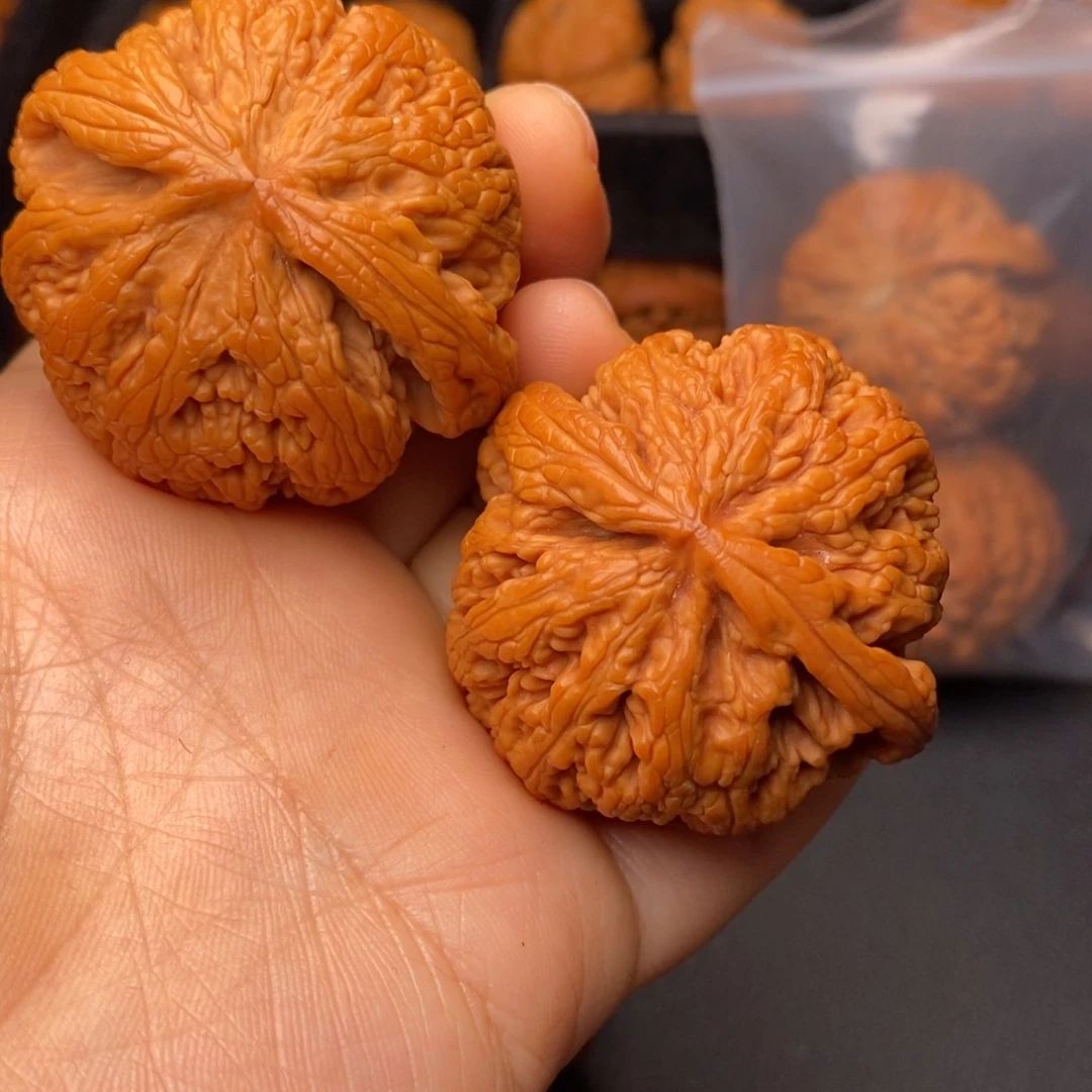 文玩核桃把件秦岭野生核桃