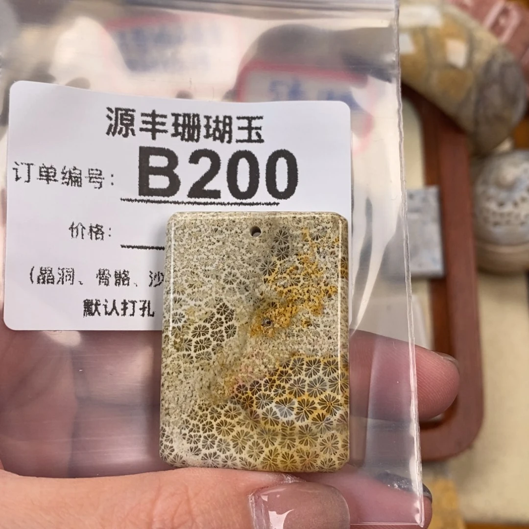 硅化玉颈饰未镶嵌立**