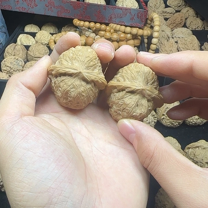 林***！吊坠龙脊菩提啊啊啊啊啊啊南瓜5