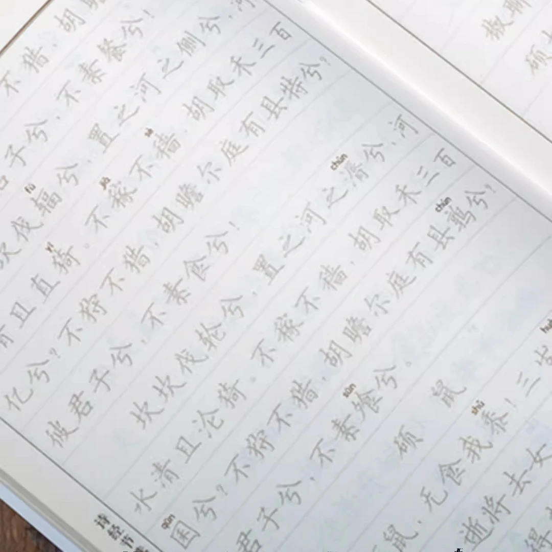 《诗经节选》硬笔楷体手抄本初学者临摹 抄写本硬笔字帖国学经典