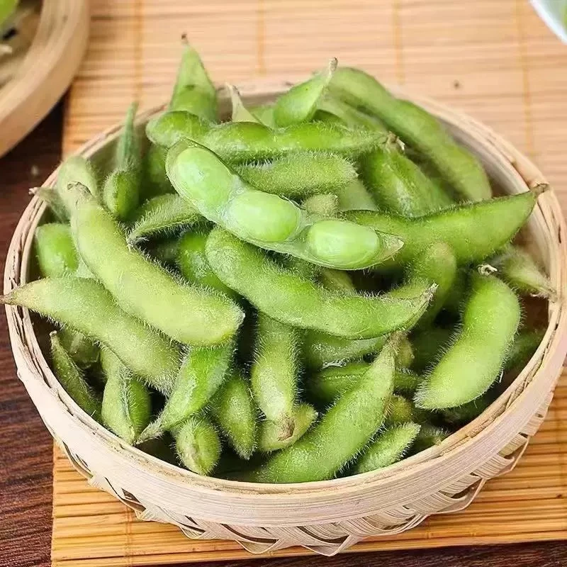 毛豆新鲜带壳青豆子疏菜嫩青豆黄豆商用四川农家自种时令生鲜蔬菜