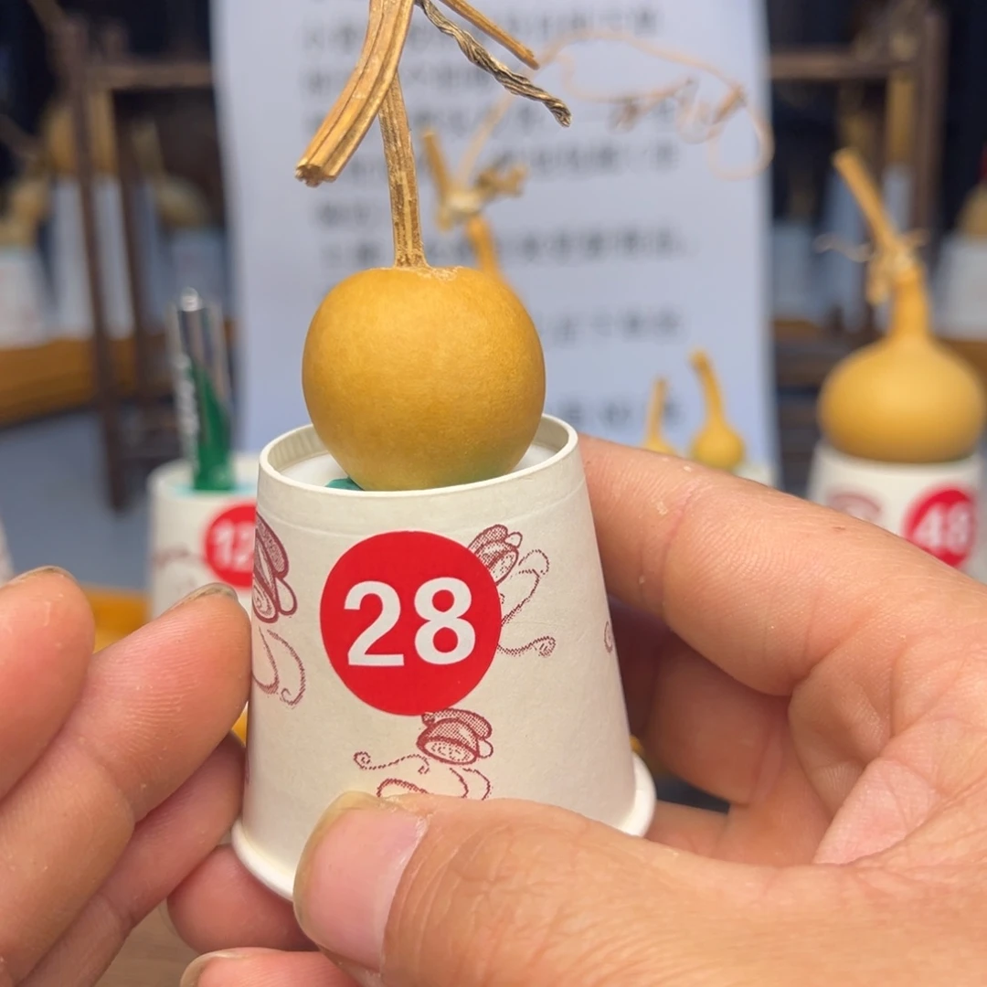 闪电购自助下单编号28