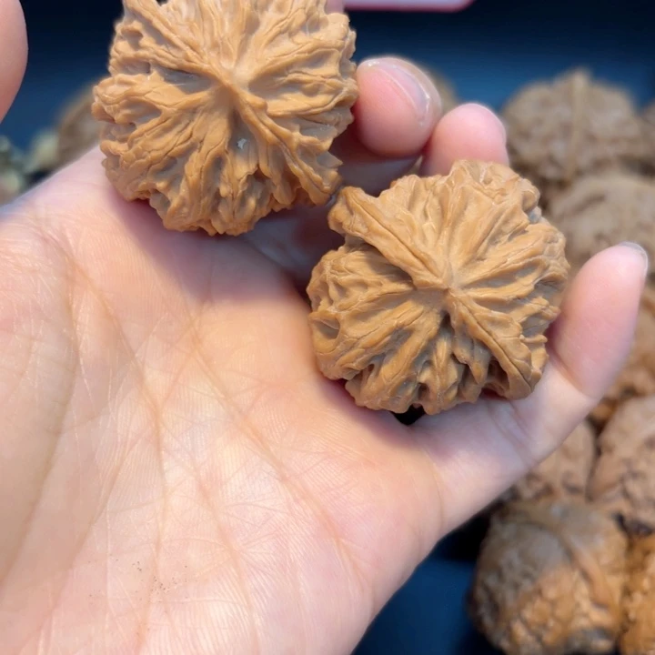 40苹果全品无修全品无修