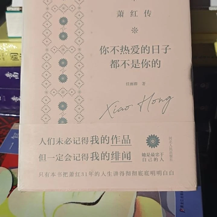 你不热爱的日子都不是你的刷边库存书