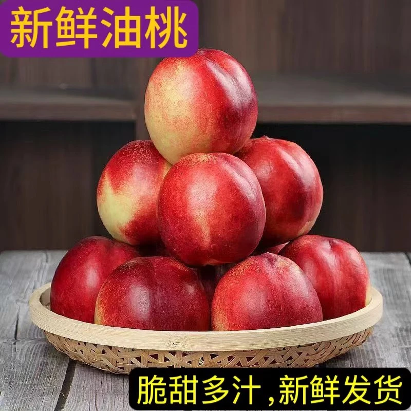 【人良食安】蒙阴红油桃脆甜多汁可放软白肉油桃高山种植现摘现发L1