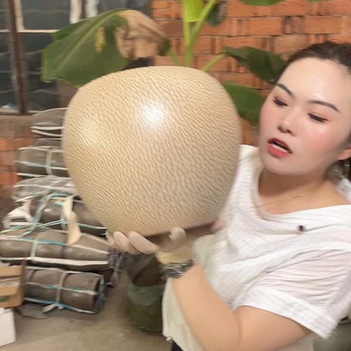 正品口19高23。zzzzz