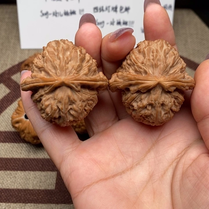 把件文玩核桃白狮子已修尖