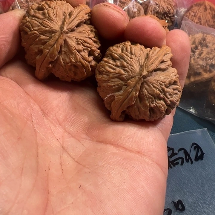 ****郎大叶紫檀（黑酸枝木类）