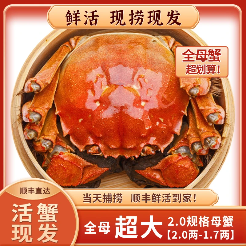 【活蟹】洪泽湖螃蟹2两-1.7两全母蟹8只+送2只礼盒装顺丰包邮F