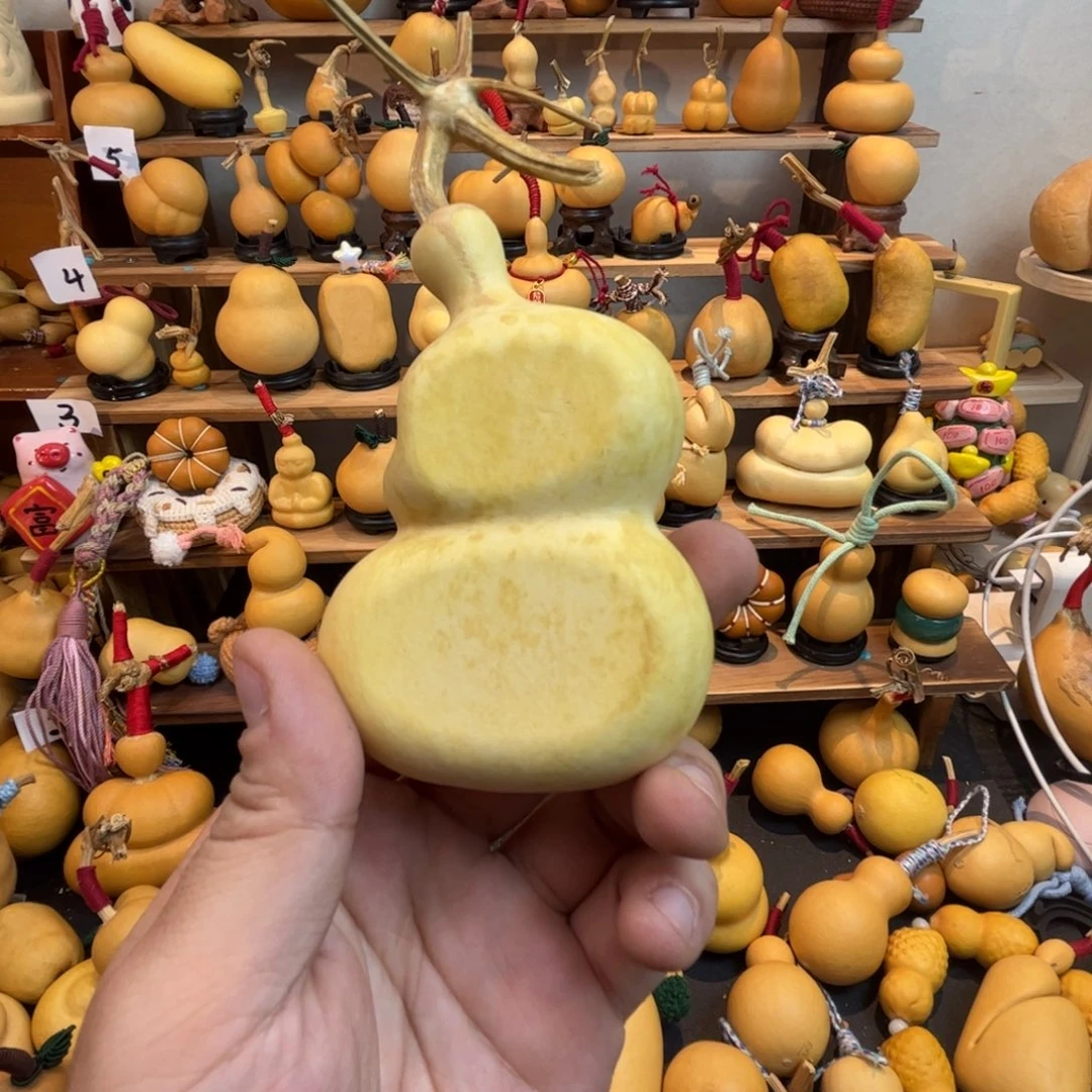 薄**-葫芦丝老师俩天不到我也