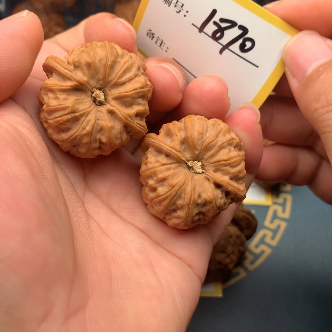 把件文玩核桃37全品玄龙凹底1870