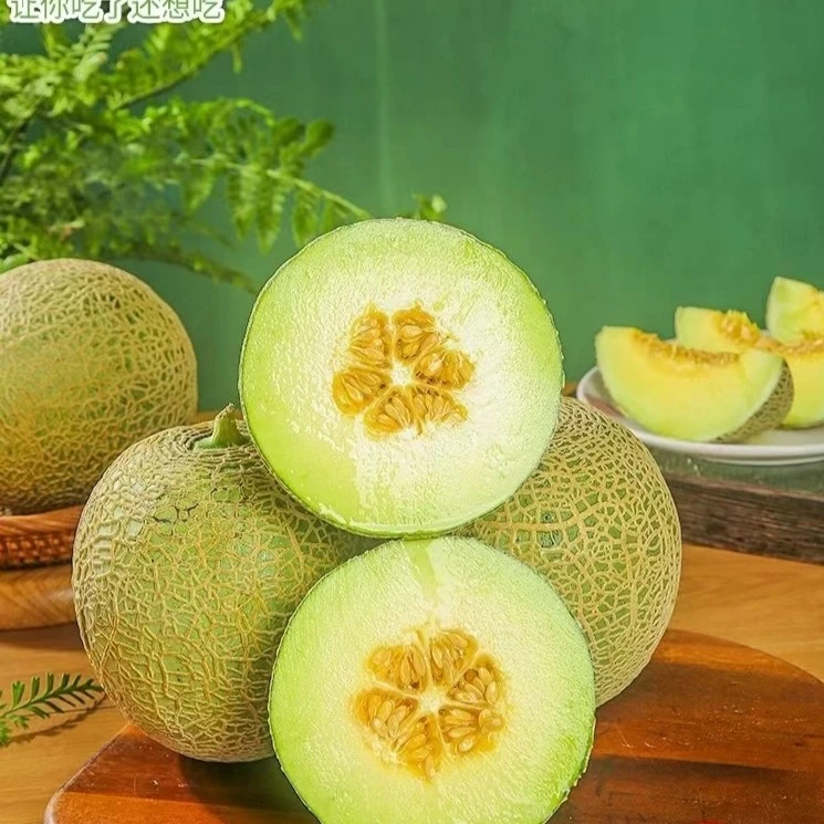 【顺丰包邮】玫珑瓜5粒装
