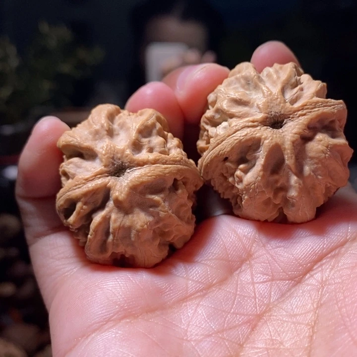 把件文玩核桃东北楸子小路328