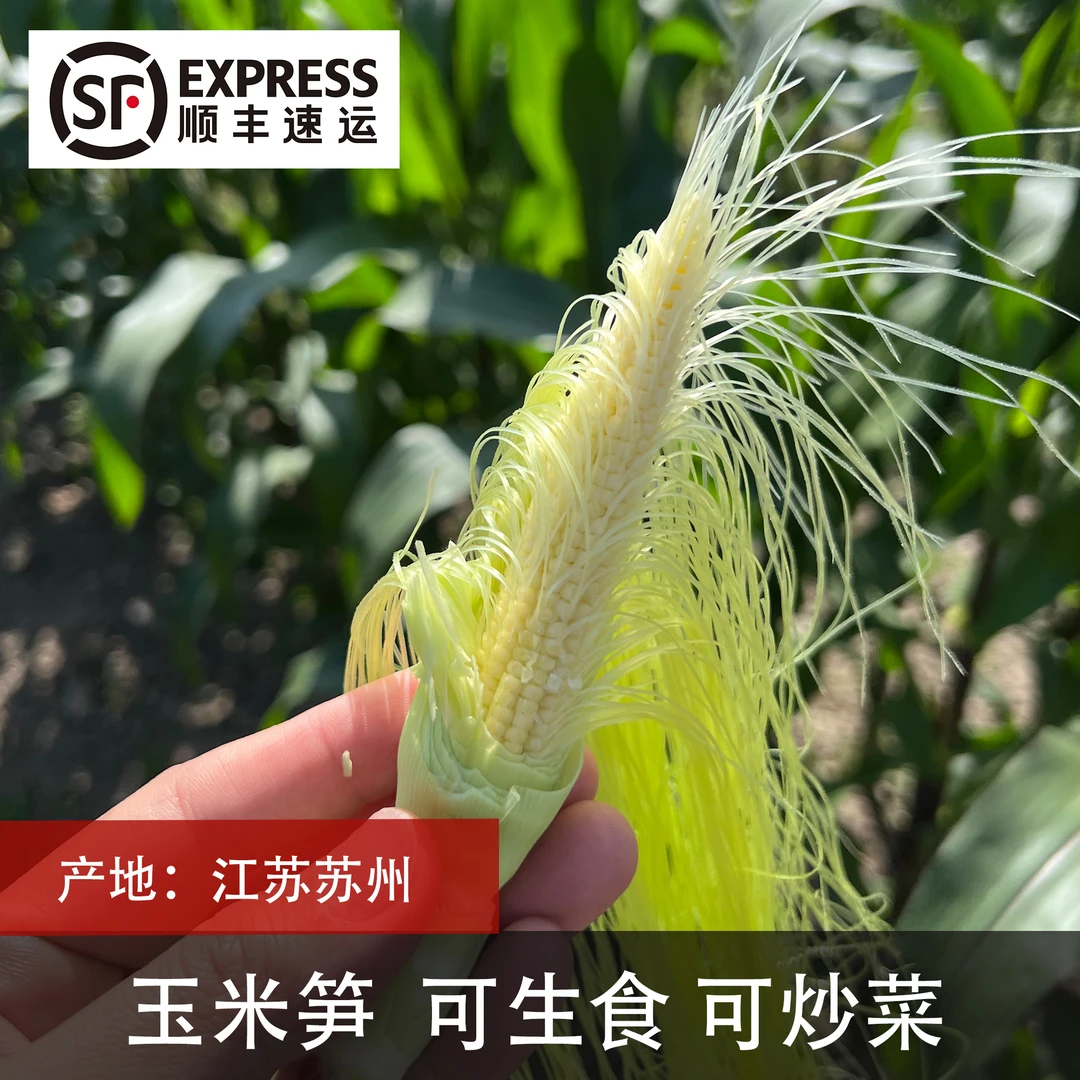 3斤可生食【玉米笋】带皮发货 顺丰苏州发货
