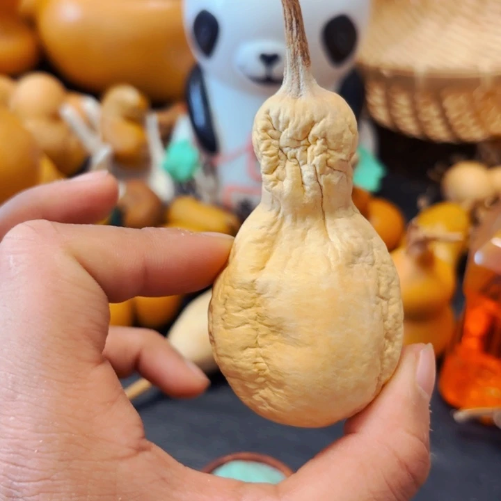 阑*?888888888888888888