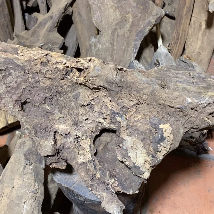 【闪购商品】贡木其他醉****风定制5577888888