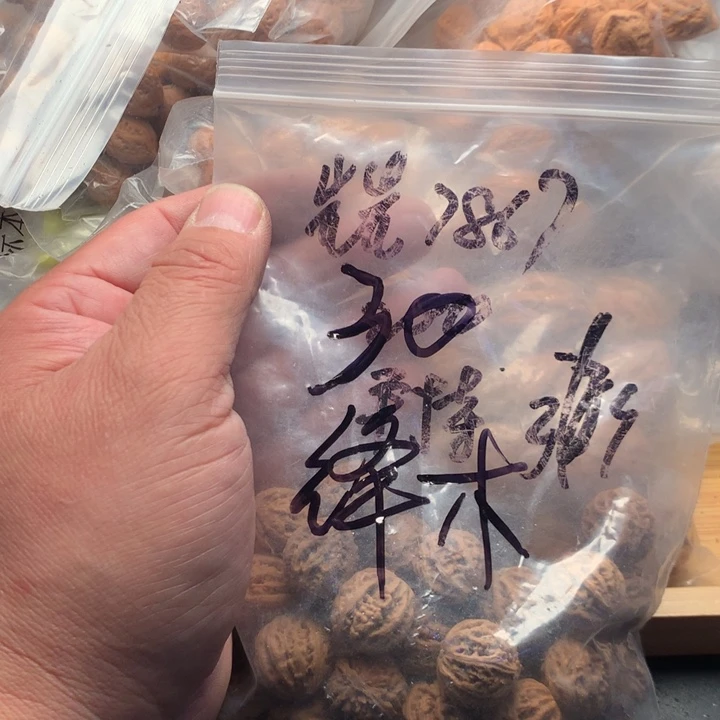 绛***木吊坠文玩核桃野生精品小核桃散籽